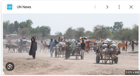 Selon une ONG, huit des dix pires crises de déplacements les plus négligées au monde sont en Afrique