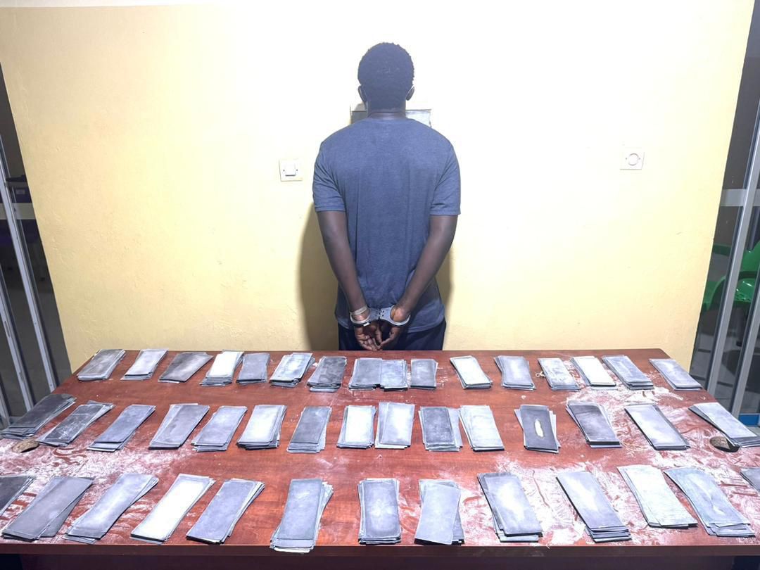 Faux monnayage : la Douane saisit 3,580 milliards en billets noirs à Kaolack et Fatick