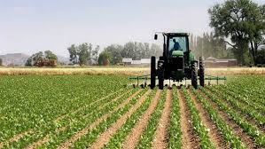 L’ENSA doit se réorienter vers la formation à l’entreprenariat agricole, selon son directeur