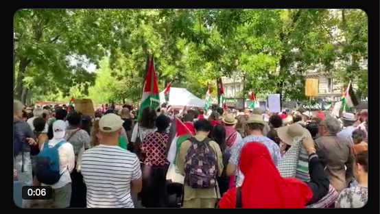 Manifestation à Paris contre le « génocide à Gaza » : EuroPalestine appelle à l’action