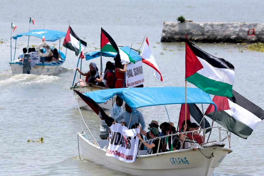 Flottille mondiale Sumud : la rapporteure de l’ONU signale une attaque de drone