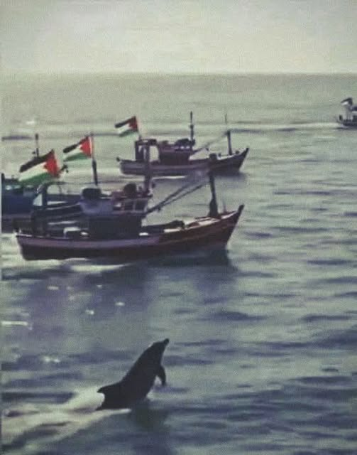 Flottille mondiale Sumud : Le navire Mikeno est parvenu dans les eaux de Gaza