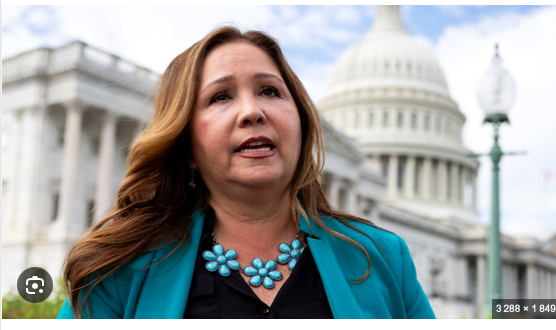 La démocrate Adelita Grijalva