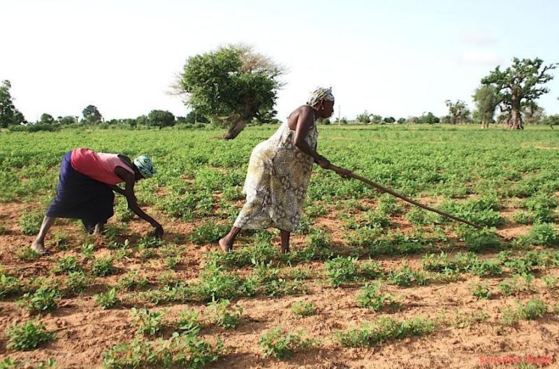 Image d'illustration