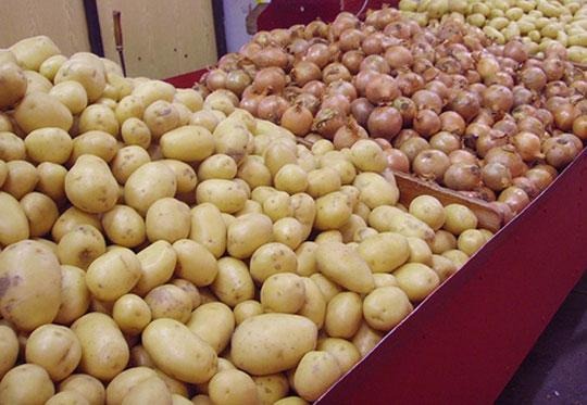 Sénégal - L’Unacois salue le gel des importations d’oignon et de pomme de terre