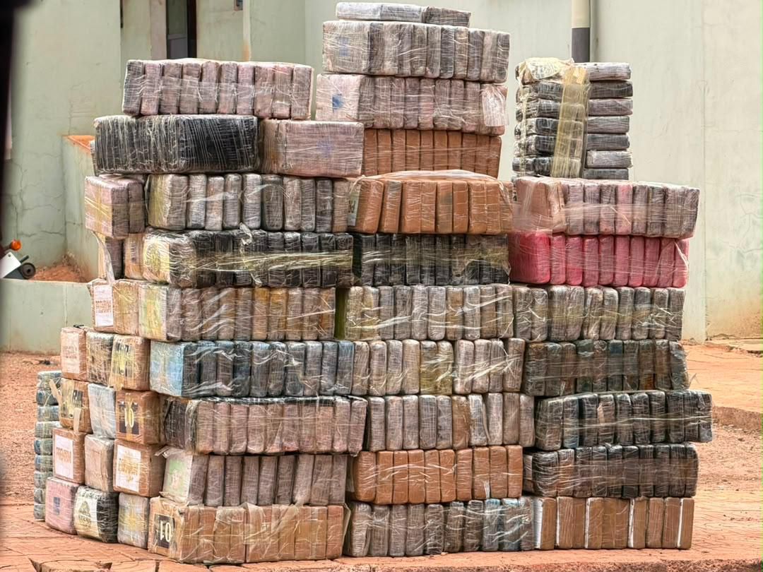 Trafic international de drogues : La Douane sénégalaise saisit 970,6 kg de cocaïne pure dans le Sud-est