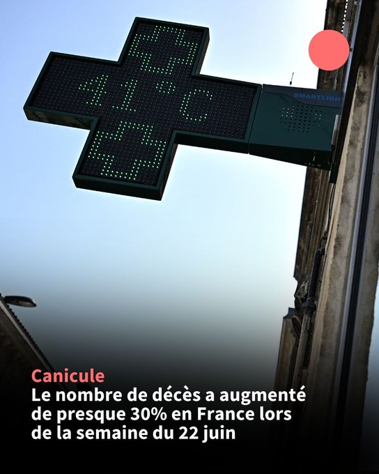 Canicule en France : au moins 2 025 décès supplémentaires recensés au pic de la vague de chaleur