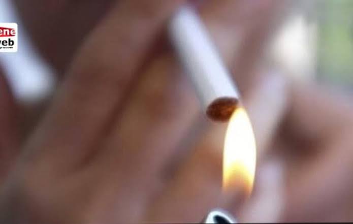 Plus de la moitié des jeunes Sénégalais fument avant l’âge de 20 ans (enquête)
