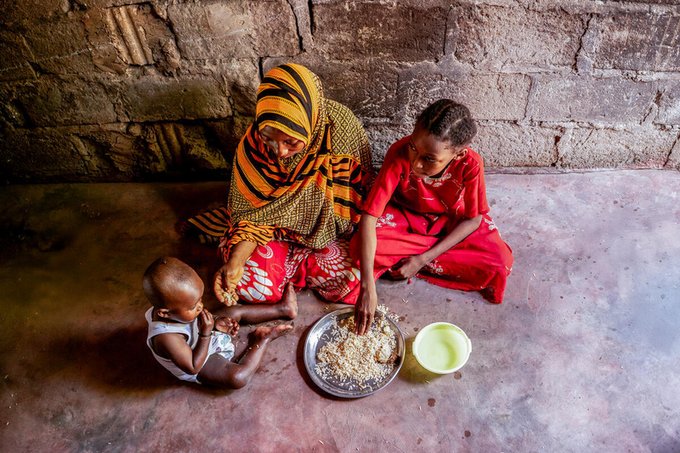 7,8 % de la population mondiale a souffert de la faim en 2025 (FAO)