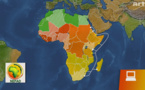 Le Nouveau Partenariat Economique Africain