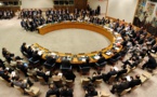Gambie: le Conseil de sécurité soutient la Cedeao mais veut une solution politique, les Russes se posent des questions
