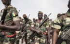Des soldats de la force ouest-africaine accueillis en héros en Gambie