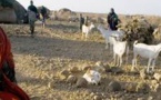Afrique de l’Est: la sécheresse fait grimper les prix des produits alimentaires