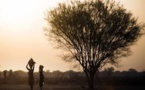Soudan du Sud: la faim pousse les gens à manger des feuilles