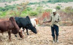 Étude de l’ONU : La numérisation des paiements des agriculteurs contribue à lutter contre la pauvreté au Kenya