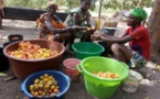 La Guinée-Bissau engrange les fruits d'un cajou mieux payé aux paysans