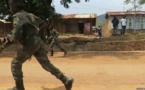 RDC: 16 miliciens tués dans des combats avec l'armée