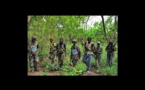 Casamance : 13 jeunes tués par des "éléments armés" en Casamance, 9 autres grièvement blessés