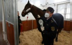 Chine: 30 jours de quarantaine pour le cheval offert par Macron