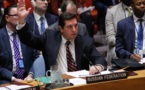 Syrie/chimique: veto russe à l'ONU à un projet de résolution américain