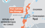 La RDC officialise son projet d'exploiter du pétrole dans des parcs naturels