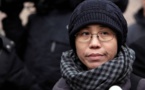 Chine : la veuve du dissident Liu Xiaobo arrive à Berlin