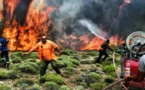 La Grèce en deuil après des incendies meurtriers, au moins 74 morts