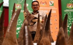 Malaisie : saisie record de cornes de rhinocéros