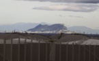 Gibraltar : l'Espagne met la pression en menaçant l'accord sur le Brexit