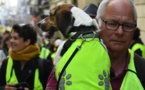 "Gilets jaunes" : 39 300 manifestants en France, en baisse par rapport au samedi précédent