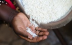 ENQUETE CENOZO - Afrique de l’Ouest : la tyrannie du riz (Introduction)