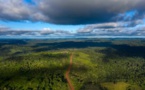 REPORTAGE - Quand la déforestation transforme l'Amazonie en baril de poudre