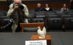 A la Chambre des représentants, une poule (mouillée) pour incarner l'Attorney General