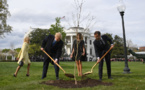 L'arbre symbolisant l'amitié Macron-Trump n'a pas survécu