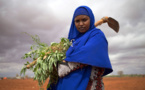 En Somalie, l’ONU et l’Union africaine saluent les progrès en matière de participation des femmes à la paix