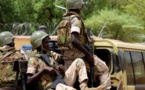 Nigeria-Bénin-Niger : des patrouilles communes aux frontières