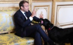 Retraites: Macron devrait rester ferme sur sa réforme malgré un conflit qui se prolonge