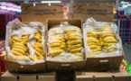 500 kilos de cocaïne découverts dans un chargement de bananes au marché de Rungis (sources concordantes)