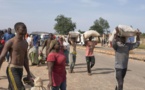 Le Nigeria déplore une augmentation de décès liés à la fièvre jaune