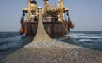 Sénégal-Union européenne: les chiffres du protocole d'accord sur la pêche 2019-2024 (Document)