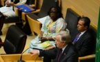 Covid-19, sécurité et Ethiopie au menu de la conférence annuelle ONU-Union africaine