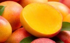 Sénégal : les exportations de mangues ont chuté à 13 000 tonnes en 2020