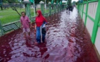 Indonésie : 44 morts dans des inondations sur l’île de Florès