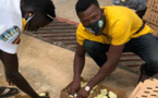 Un ancien banquier nigérian, reconverti en éleveur de volailles, devient un champion de l’agriculture africaine
