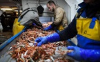 Brexit Pêche: Paris conteste les nouvelles exigences de Londres