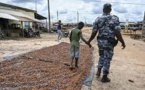 22 Ivoiriens condamnés pour traite d’enfants dans le cacao