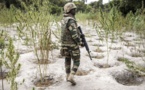 SENEGAL : l’armée capture 5 nouvelles bases rebelles au sud du fleuve Casamance, un officier et un soldat blessés