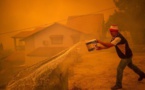 Incendies ravageurs : Désespoir sur l’île grecque d’Eubée, accalmie en Turquie
