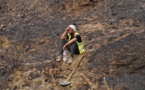 En Algérie, la majorité des incendies de forêt maîtrisés, selon les autorités
