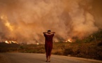 Incendies de forêt : Plus de 700 hectares brûlés au Maroc, quelques foyers actifs en Algérie